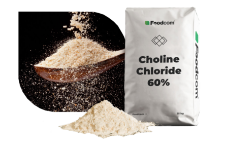 Choline Chloride 60%