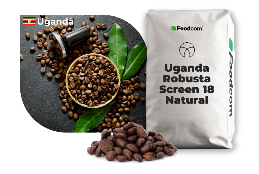 Uganda Robusta Pantalla 18 Natural Uganda Robusta Pantalla 18 Natural
