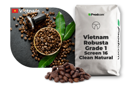 Vietnam Robusta Grado 1 Pantalla 16 Natural