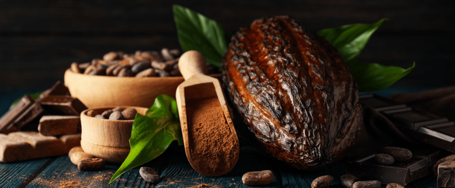 Alkalised cocoa – what is it and how does it differ from natural cocoa?
