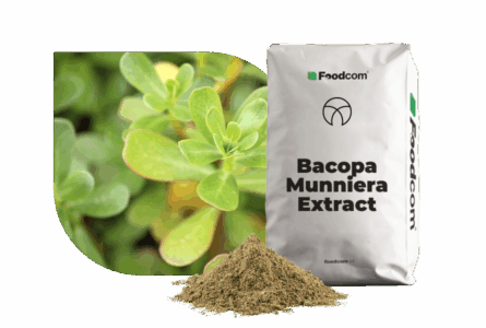 Extracto de Bacopa Monniera