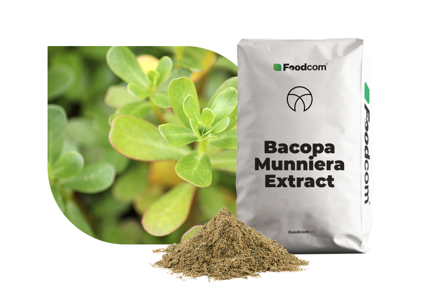 Extracto de Bacopa Monniera Extracto de Bacopa Monniera