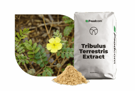 Tribulus Terrestris Extract