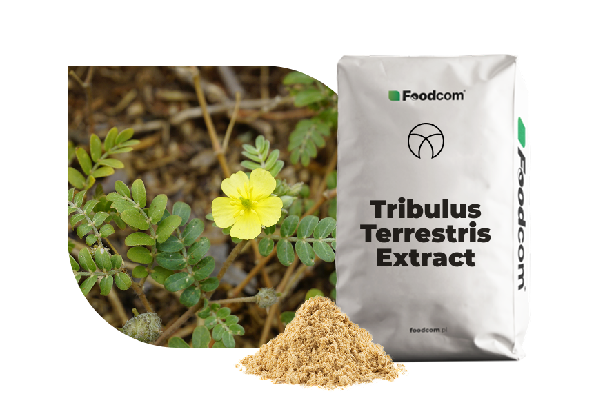 Tribulus Terrestris Extract Tribulus Terrestris Extract