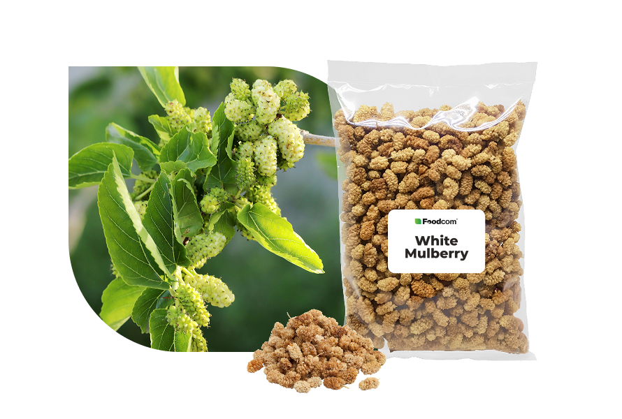 White Mulberry White Mulberry